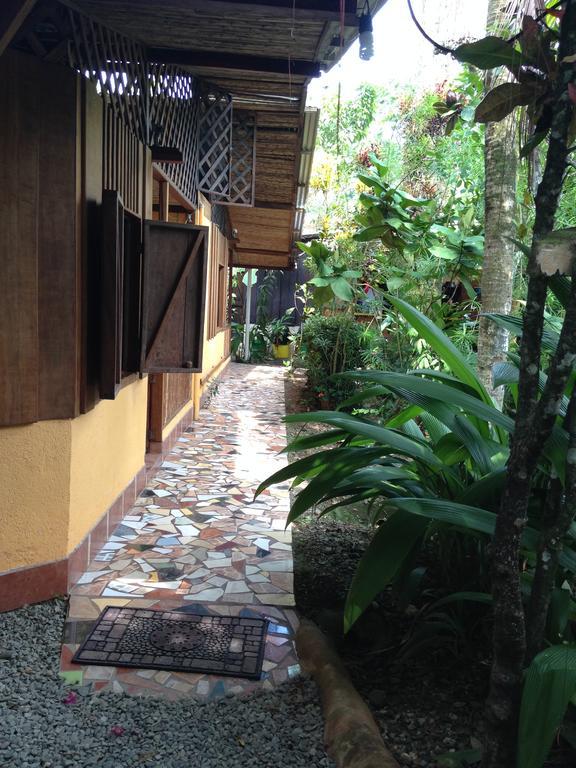 La Casa De Rolando Puerto Viejo de Talamanca Exterior foto