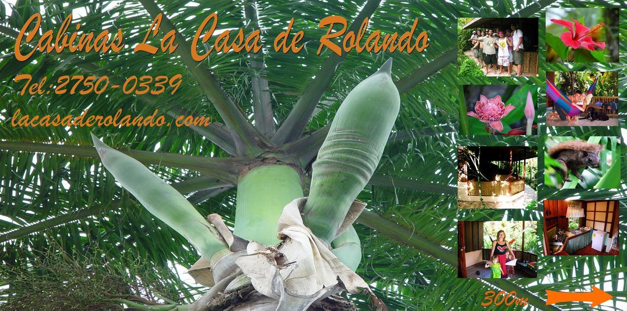 La Casa De Rolando Puerto Viejo de Talamanca Exterior foto